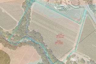 Agriculture,  Silverado trail, Calistoga, CA 94515 - 14