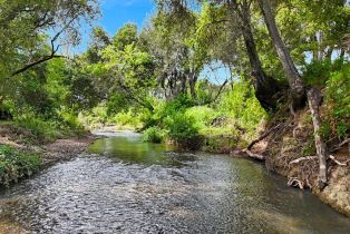 Agriculture,  Silverado trail, Calistoga, CA 94515 - 5