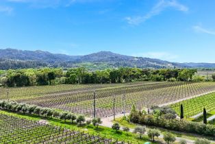 Agriculture,  Silverado trail, Calistoga, CA 94515 - 4