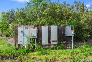 Agriculture,  Silverado trail, Calistoga, CA 94515 - 12