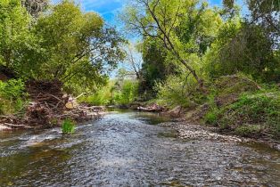 Agriculture,  Silverado trail, Calistoga, CA 94515 - 6