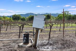 Agriculture,  Silverado trail, Calistoga, CA 94515 - 13