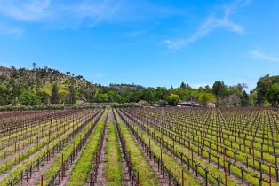 Agriculture,  Silverado trail, Calistoga, CA 94515 - 7
