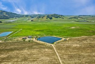 Agriculture,  Chileno Valley road, Petaluma, CA 94952 - 54