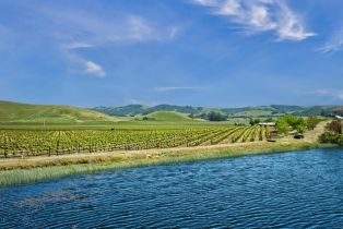 Agriculture,  Chileno Valley road, Petaluma, CA 94952 - 47