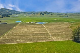 Agriculture,  Chileno Valley road, Petaluma, CA 94952 - 53