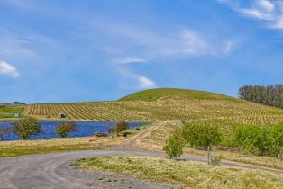 Agriculture,  Chileno Valley road, Petaluma, CA 94952 - 28