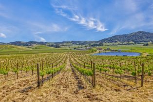 Agriculture,  Chileno Valley road, Petaluma, CA 94952 - 22