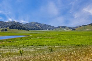 Agriculture,  Chileno Valley road, Petaluma, CA 94952 - 32
