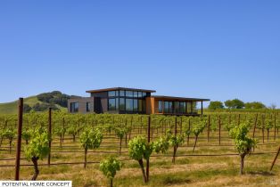 Agriculture,  Chileno Valley road, Petaluma, CA 94952 - 17