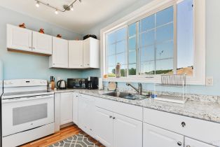 Agriculture,  Chileno Valley road, Petaluma, CA 94952 - 10