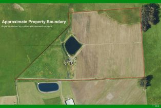 Agriculture,  Chileno Valley road, Petaluma, CA 94952 - 57