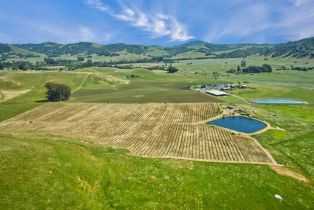 Agriculture,  Chileno Valley road, Petaluma, CA 94952 - 55