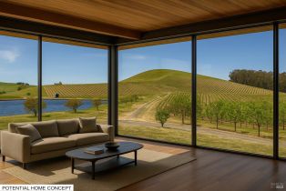 Agriculture,  Chileno Valley road, Petaluma, CA 94952 - 15