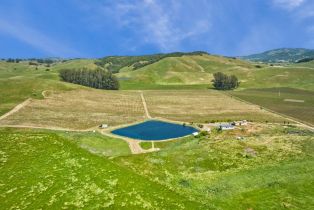 Agriculture,  Chileno Valley road, Petaluma, CA 94952 - 24