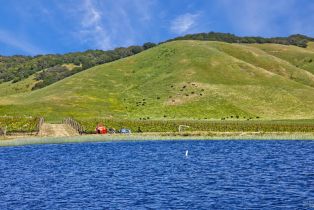 Agriculture,  Chileno Valley road, Petaluma, CA 94952 - 25