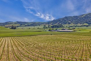 Agriculture,  Chileno Valley road, Petaluma, CA 94952 - 44