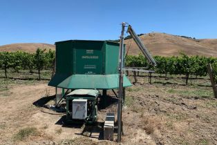 Agriculture,  Chileno Valley road, Petaluma, CA 94952 - 58