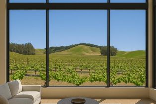 Agriculture,  Chileno Valley road, Petaluma, CA 94952 - 18