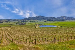 Agriculture,  Chileno Valley road, Petaluma, CA 94952 - 45