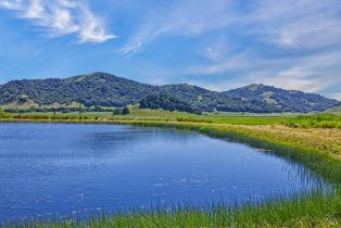Agriculture,  Chileno Valley road, Petaluma, CA 94952 - 21