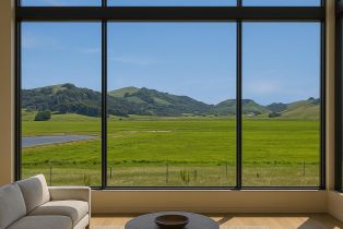 Agriculture,  Chileno Valley road, Petaluma, CA 94952 - 16