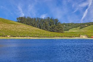 Agriculture,  Chileno Valley road, Petaluma, CA 94952 - 34