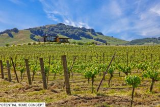 Agriculture,  Chileno Valley road, Petaluma, CA 94952 - 30