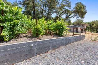 Single Family Residence,  Dry Creek road, Healdsburg, CA 95448 - 48