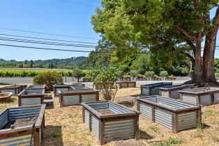 Single Family Residence,  Dry Creek road, Healdsburg, CA 95448 - 18