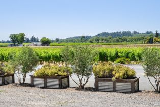 Single Family Residence,  Dry Creek road, Healdsburg, CA 95448 - 15