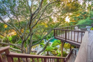 Single Family Residence, La Quinta court, Napa, CA 94559 - 59