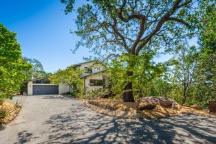 Single Family Residence, La Quinta court, Napa, CA 94559 - 4