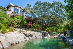 Single Family Residence, La Quinta court, Napa, CA 94559 - 75