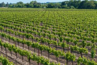 Agriculture,  Kinley drive, Healdsburg, CA 95448 - 7