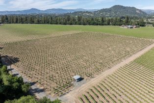 Agriculture,  Kinley drive, Healdsburg, CA 95448 - 13