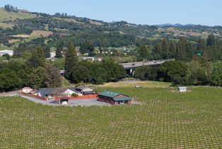 Agriculture,  Kinley drive, Healdsburg, CA 95448 - 10