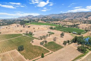 Agriculture,  Silverado trail, Napa, CA 94558 - 4