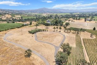 Agriculture,  Silverado trail, Napa, CA 94558 - 5
