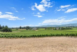 Agriculture,  Silverado trail, Napa, CA 94558 - 6