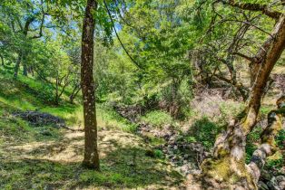 Single Family Residence, Circle Oaks drive, Napa, CA 94558 - 92