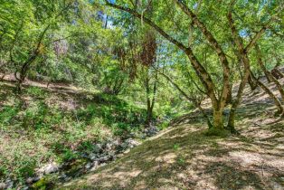 Single Family Residence, Circle Oaks drive, Napa, CA 94558 - 93