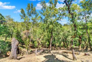 Single Family Residence, Circle Oaks drive, Napa, CA 94558 - 89