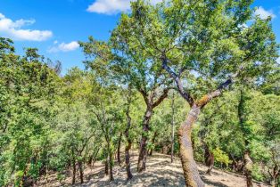 Single Family Residence, Circle Oaks drive, Napa, CA 94558 - 75