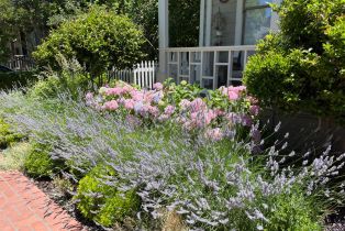 Single Family Residence, Franklin street, Napa, CA 94559 - 69