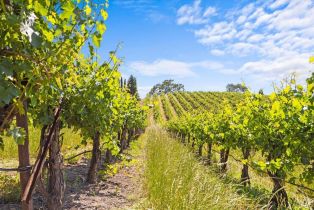 Single Family Residence,  Flora Ranch road, Healdsburg, CA 95448 - 12