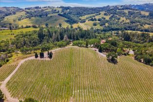Single Family Residence,  Flora Ranch road, Healdsburg, CA 95448 - 9