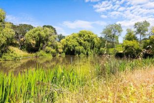 Single Family Residence,  Flora Ranch road, Healdsburg, CA 95448 - 59