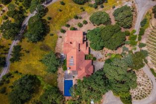 Single Family Residence,  Flora Ranch road, Healdsburg, CA 95448 - 10