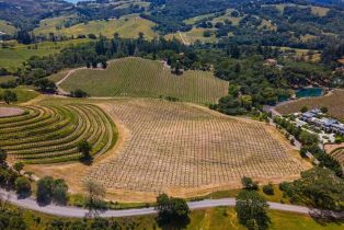 Single Family Residence,  Flora Ranch road, Healdsburg, CA 95448 - 4